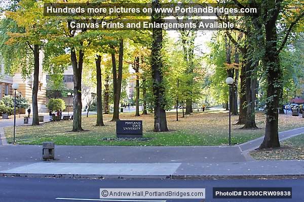 Portland State University - Park Blocks