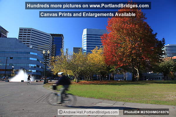 Salmon Street Fountain, Cyclist, Fall Leaves, Tom McCall Waterfront Park (Portland, Oregon)