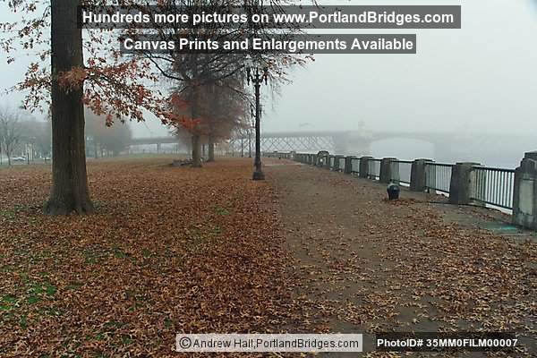 Tom McCall Waterfront Park, Fall Leaves