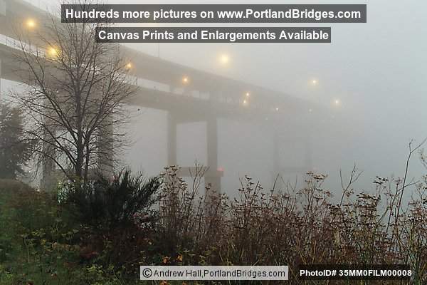 Marquam Bridge, Foggy