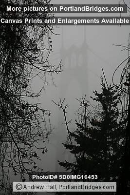 Fog (Portland, Oregon)