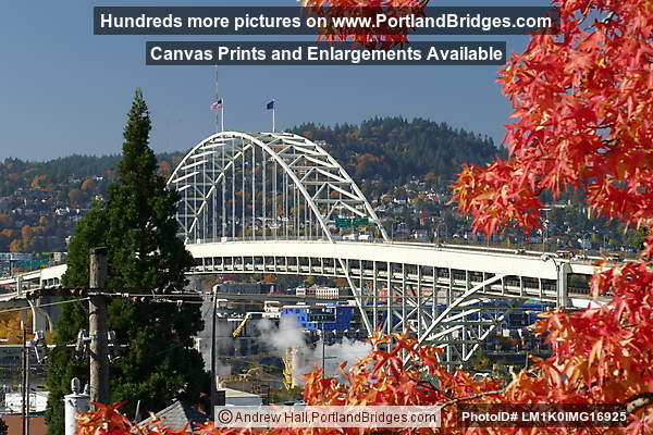 Fremont Bridge, Fall Leaves, from North Portland