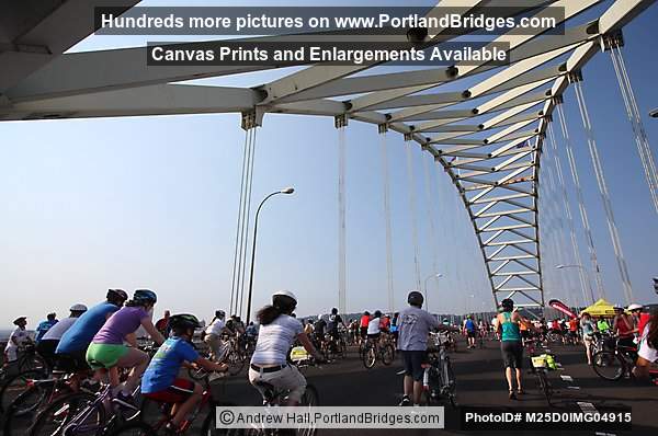 Cyclists On Fremont Bridge, Bridge Pedal 2012 (Portland, Oregon)
