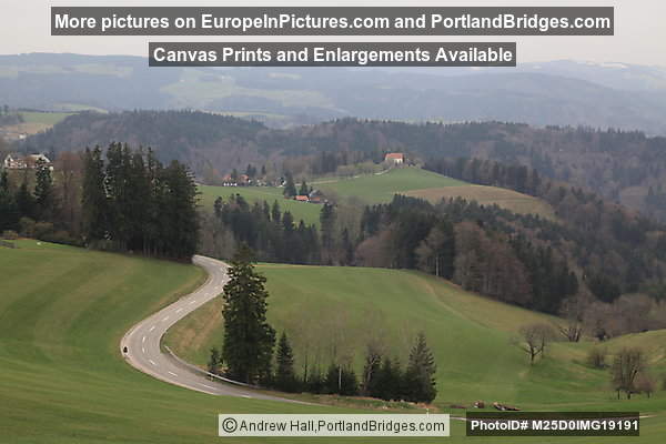 View from Hiking Trail, Black Forest