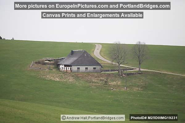 View of House from Hiking Trail, Black Forest