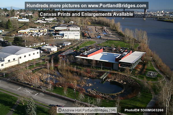 Cathedral Park, Willamette River, from St. Johns Bridge (Portland, Oregon)