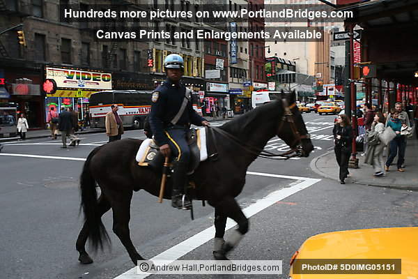 Policeman on horse, New York