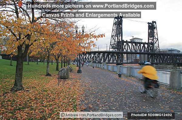 Steel Bridge, Fall Leaves (Portland, Oregon)
