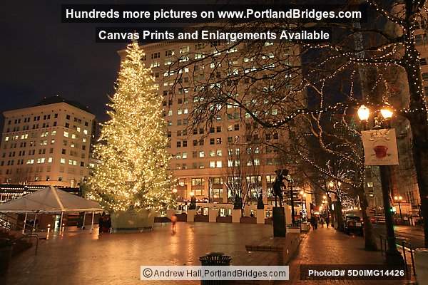 Pioneer Courthouse Square, Christmas Tree, Portland, Oregon