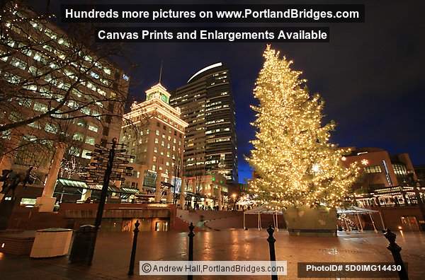 Pioneer Courthouse Square, Christmas Tree, Portland, Oregon