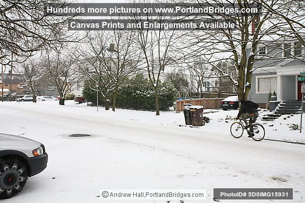 Portland Snow, Irvington Neighborhood, Northeast Portland