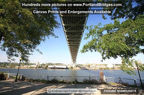 Under the Fremont Bridge (Portland, Oregon)