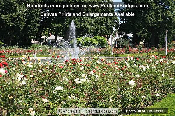 Peninsula Park Rose Garden, Fountain, North Portland