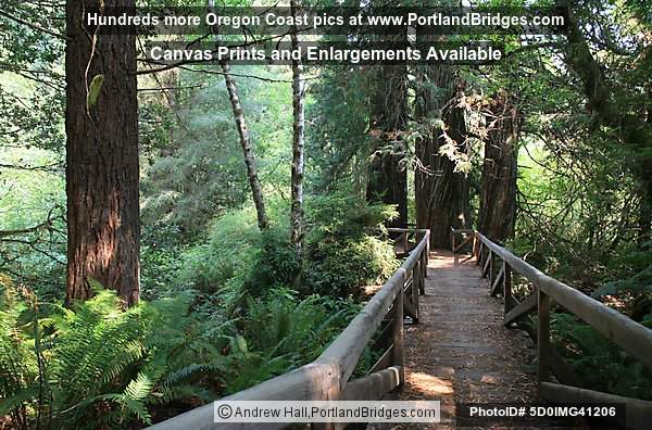 Prairie Creek Redwoods State Park, Bridge