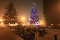 Vancouver Esther Short Park Christmas Tree 