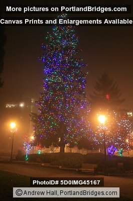 Esther Short Park Christmas Tree, Vancouver, WA