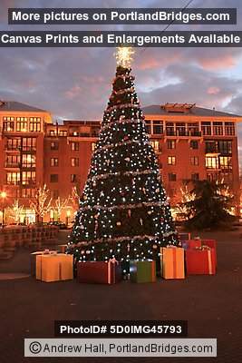 Pearl District, Jamison Square Christmas Tree, 2008 (Portland, Oregon)