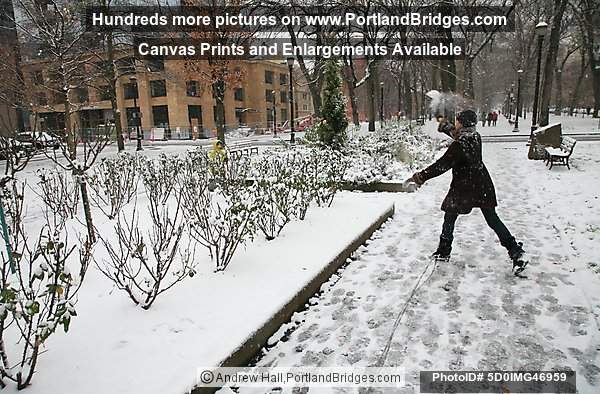 Portland SW Park Blocks, Throwing a Snowball, December 2008