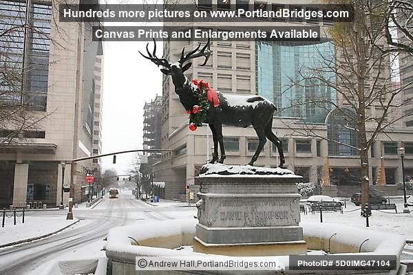 Thompson Elk Statue, Snow, Wreath, 2008 (Portland, Oregon)