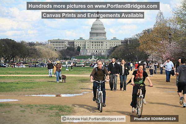 National Mall, cyclists, US Capitol Building, Washington, DC