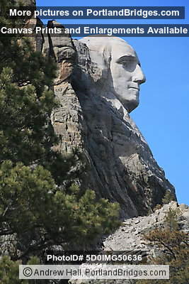 Side view of George Washington, Mount Rushmore National Memorial