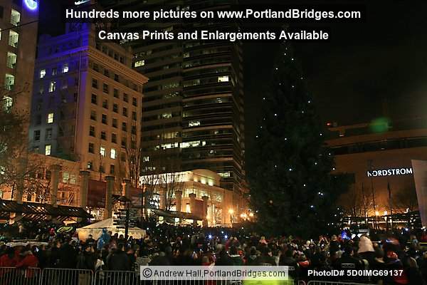 Portland Christmas Tree, Pioneer Courthouse Square, 2010