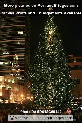 Portland Christmas Tree Lighting, 2010