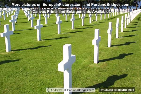 Crosses, American Cemetery and Memorial, Normandy, France