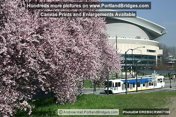 Rose Garden Arena, MAX Train, Spring Blossoms, Daytime (Portland, Oregon)