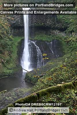 Silver Falls State Park:  Middle North Falls
