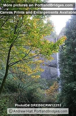 Columbia River Gorge Latourell Falls
