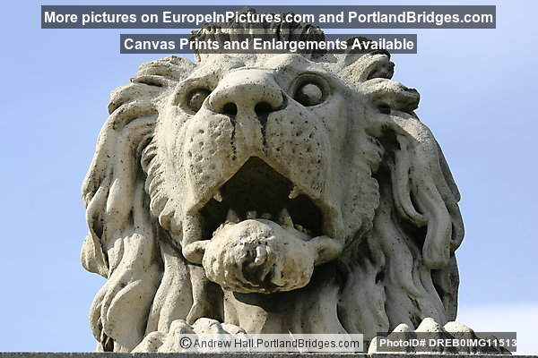Budapest  Chain Bridge, Lion