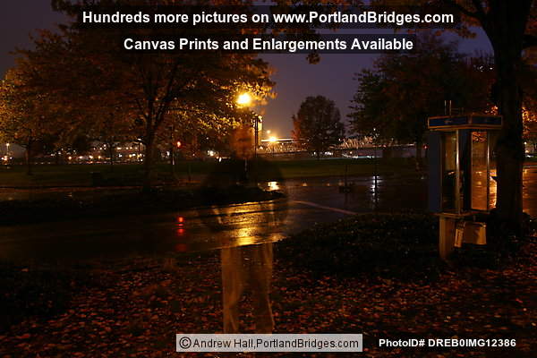 Tom McCall Waterfront Park, Fall Leaves, Dusk, Rainy (Photographer in long exposure) (Portland, Oregon)