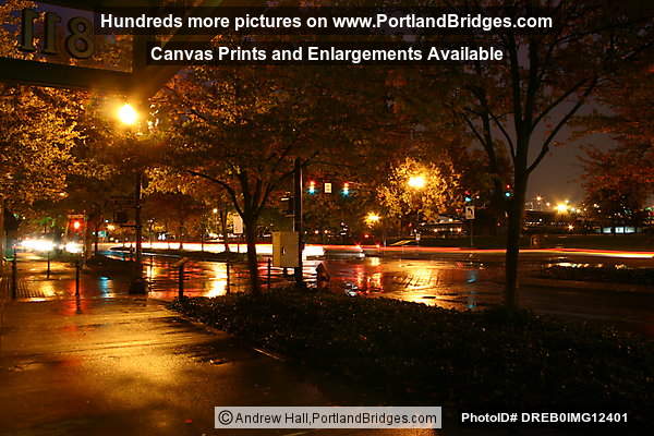 Tom McCall Waterfront Park, Fall Leaves, Dusk, Rainy (Portland, Oregon)