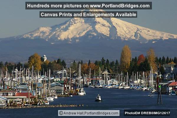 Hayden Island Yachts and Mt. Hood (Portland, Oregon)
