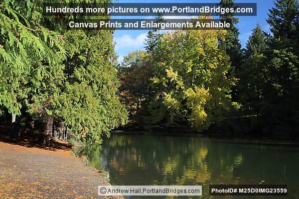 Laurelhurst Park Pond, Fall Leaves, Reflections (Portland, Oregon)