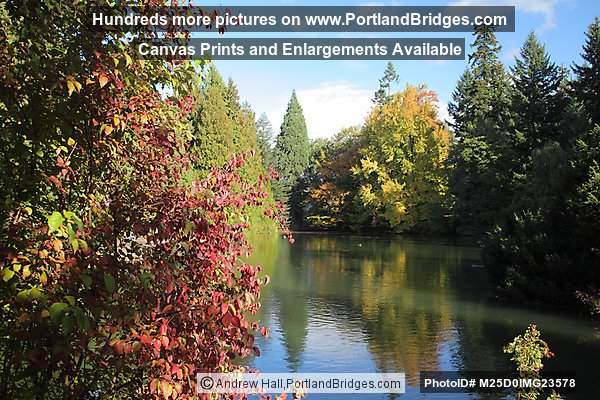 Laurelhurst Park Pond, Fall Leaves, Reflections (Portland, Oregon)