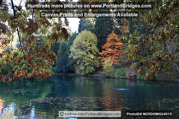 Laurelhurst Park Pond, Fall Leaves (Portland, Oregon)