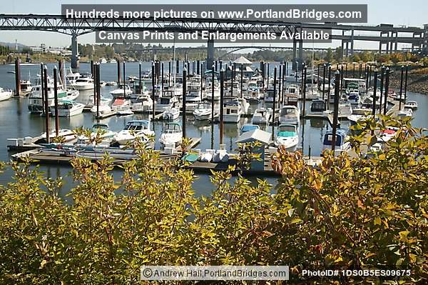 Riverplace boats, Marquam Bridge (Portland, Oregon)