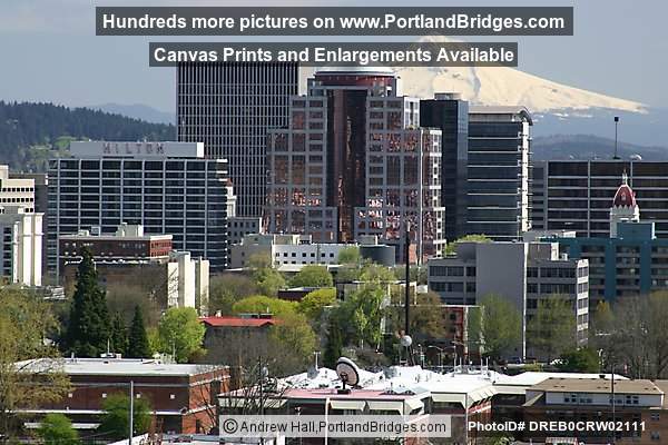 Portland Buildings and Mt. Hood, Daytime