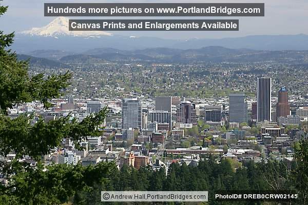 Mt.Hood, view from Pittock Mansion (Portland, Oregon)