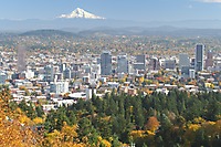 Portland Fall Pictures 