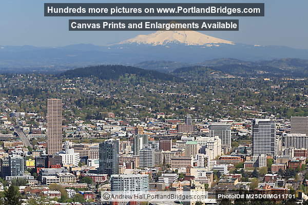 Portland Mt. Hood View from Pittock Mansion