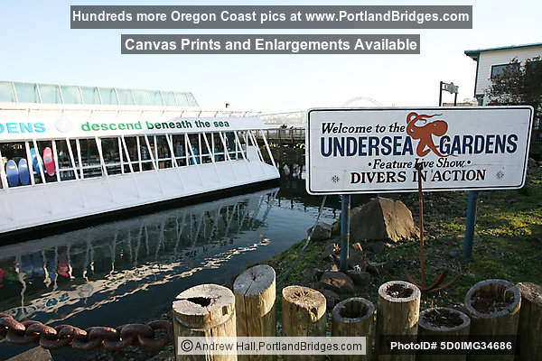 Undersea Gardens, Bayfront, Newport, Oregon