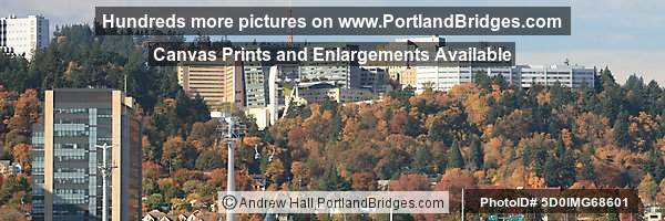 Oregon Health Sciences University (OHSU), Portland Aerial Tram, Fall Leaves