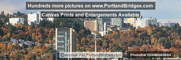 OHSU, Veterans Hospital, Portland Aerial Tram, Fall Leaves