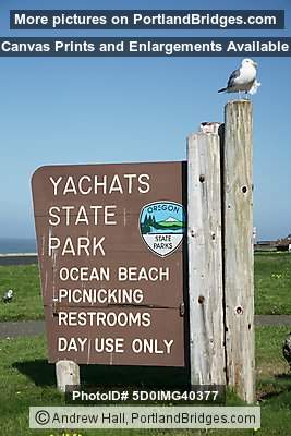 Yachats State Park Sign, Seagull