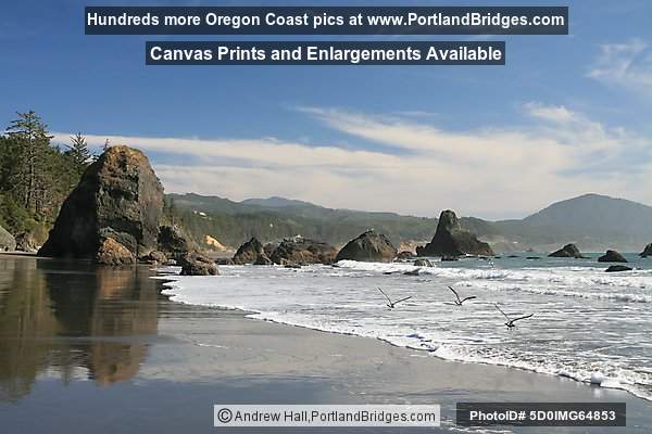 Port Orford, Beach, Oregon Coast