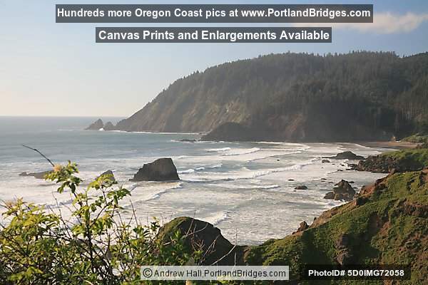 View from Ecola State Park, facing north
