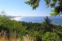 Oregon Coast Newport 